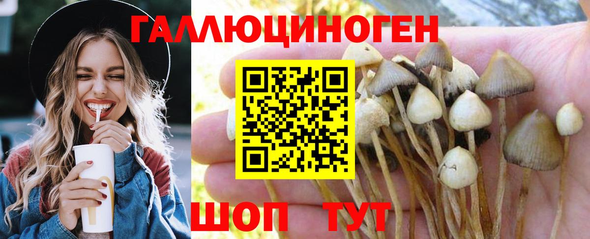 Псилоцибиновые грибы Psilocybine cubensis  купить  цена  Протвино  Галлюциногенные грибы Psilocybine cubensis  Вход с VPN 